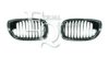 BMW 51137064315 Radiator Grille